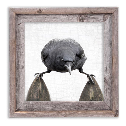 BALANCE - Fine Art Print, Crow Portrait Series