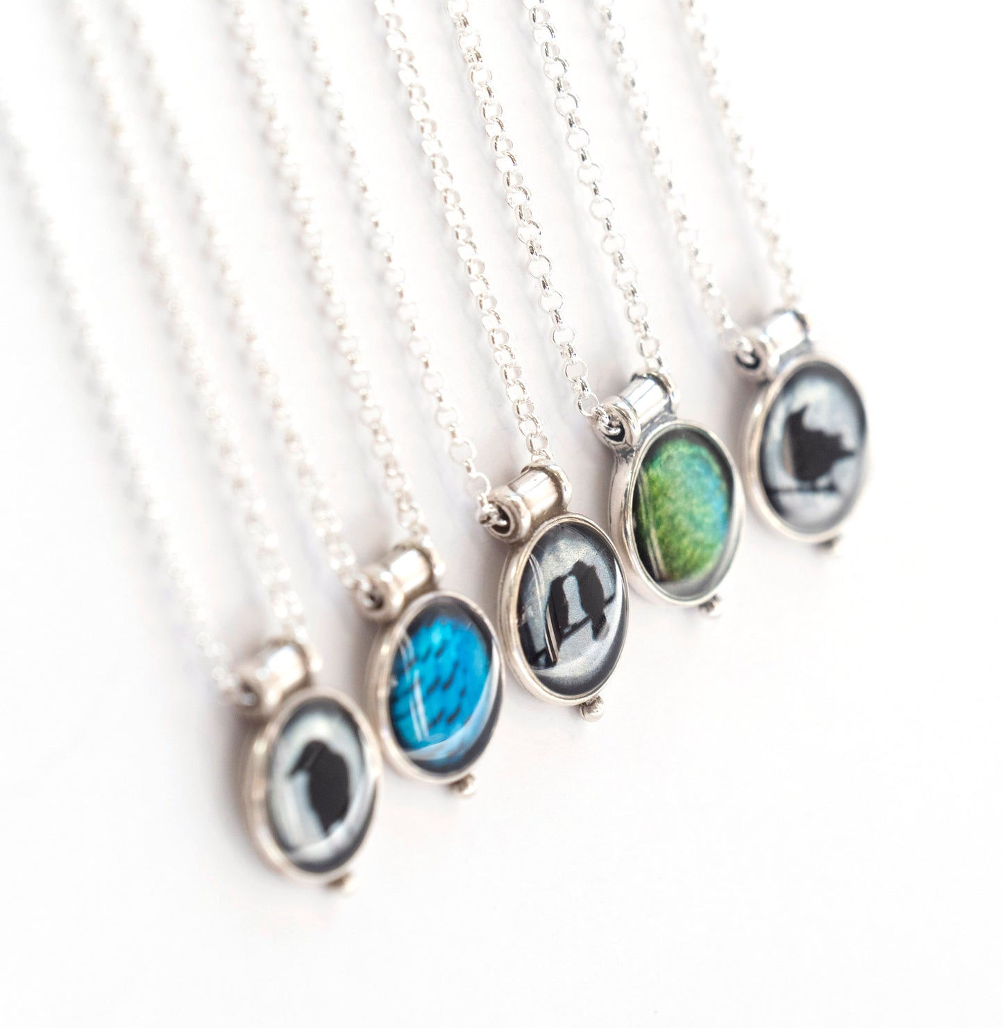 STELLER'S JAY FEATHERS - Miniature Pendant, Silver and Resin