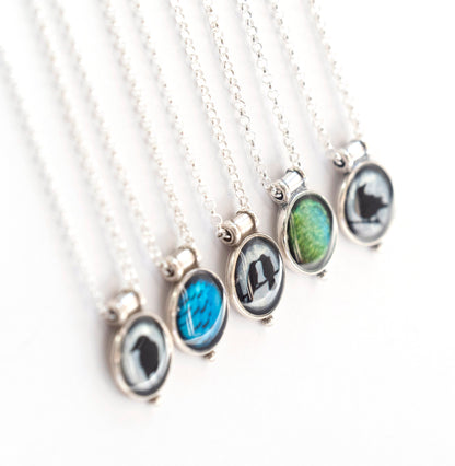 STELLER'S JAY FEATHERS - Miniature Pendant, Silver and Resin