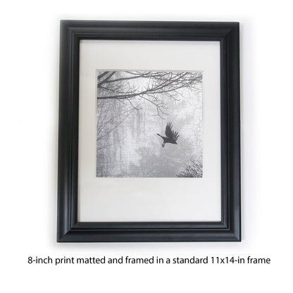 INTO THE MYST-ISH - Fine Art Print, Crow Portrait Series