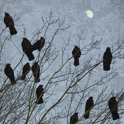 MOONLIT CROWS - Fine Art Print, Blue Crow Series