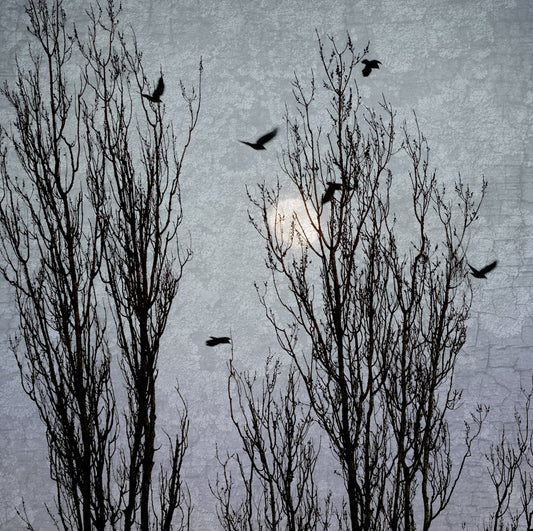 MOONLIGHT TRAVELLERS - Fine Art Print, Blue Crow Series