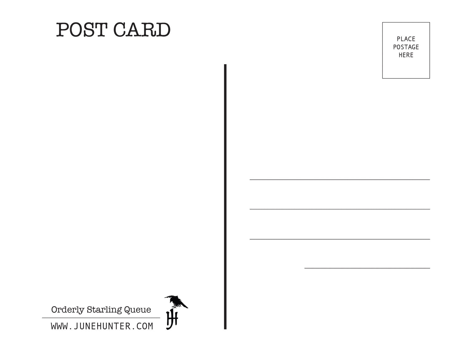 Set of 12 BIRDS Postcards by June Hunter — SALE