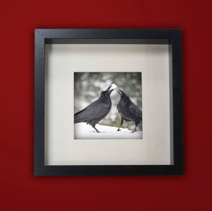 RAVEN GAMES - Fine Art Print, Raven Portrait Series