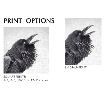 RAVEN CALL - Fine Art Print, Raven Portrait Series