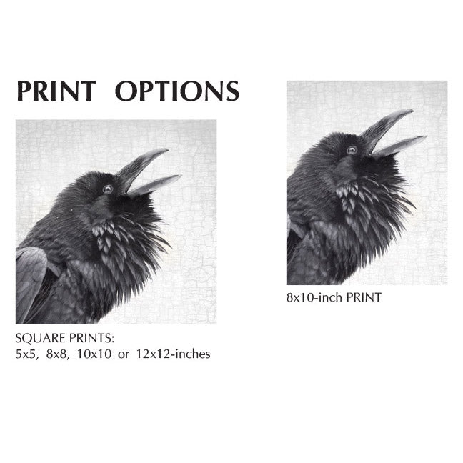 RAVEN CALL - Fine Art Print, Raven Portrait Series