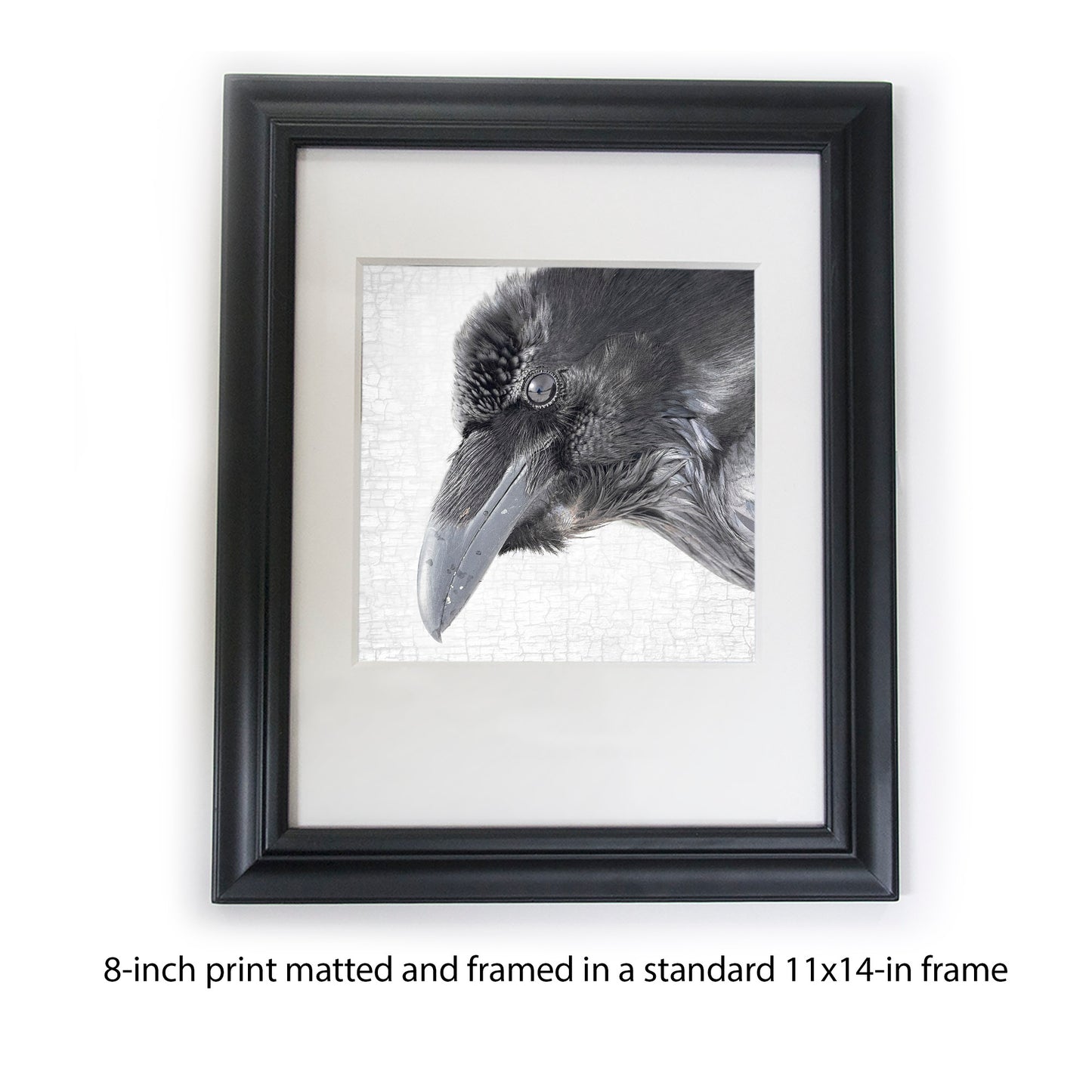 RAVEN REFLECTION - Fine Art Print, Raven Portrait Series