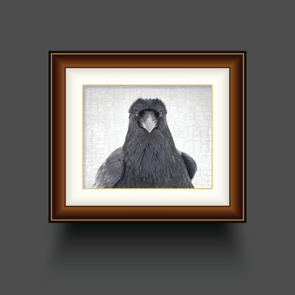 RAVEN CELEBRITY - Fine Art Print, Raven Portrait Series