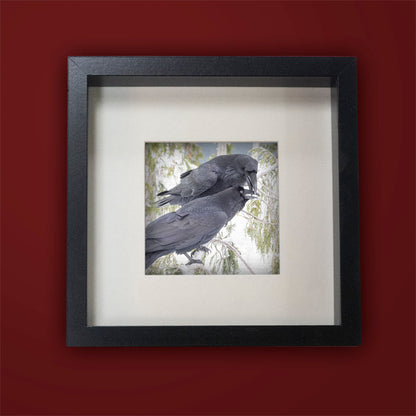 RAVEN KISS - Fine Art Print, Raven Portrait Series