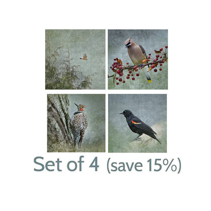 RED WINGED BLACKBIRD - Fine Art Print, Garden Birds Series