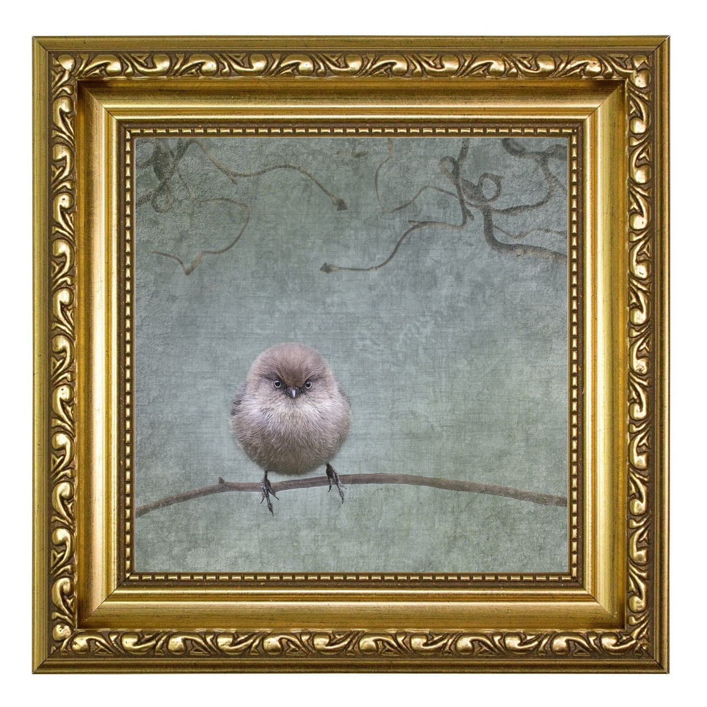 SMALL BUT DETERMINED - Fine Art Print, Garden Birds Series