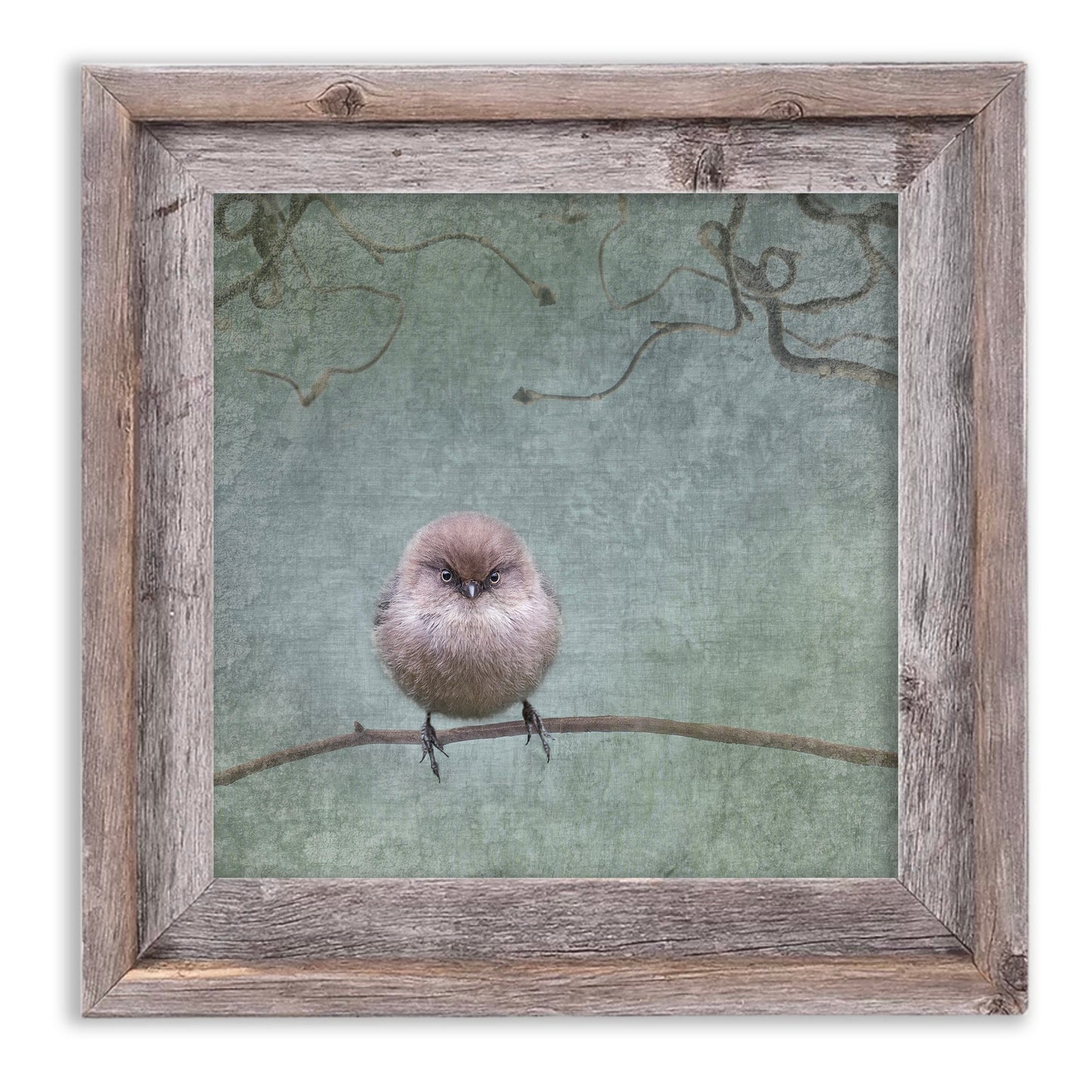 SMALL BUT DETERMINED - Fine Art Print, Garden Birds Series