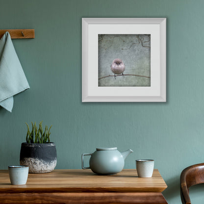 SMALL BUT DETERMINED - Fine Art Print, Garden Birds Series