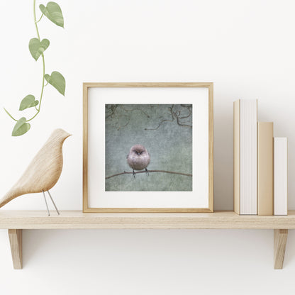 SMALL BUT DETERMINED - Fine Art Print, Garden Birds Series