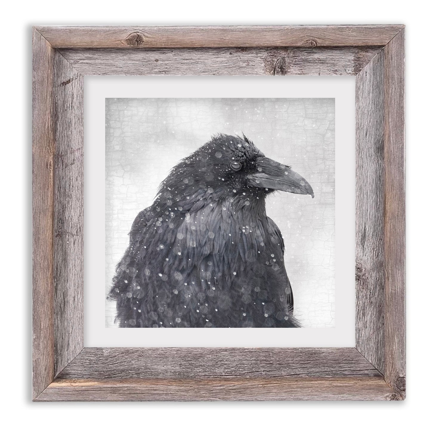 SNOW GLOBE RAVEN - Fine Art Print, Raven Portrait Series