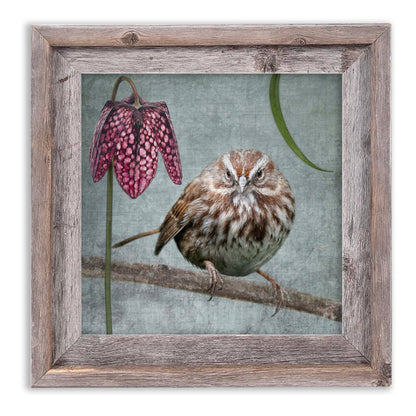 SONG SPARROW WITH FRITILLARIA - Fine Art Print, Garden Birds Series