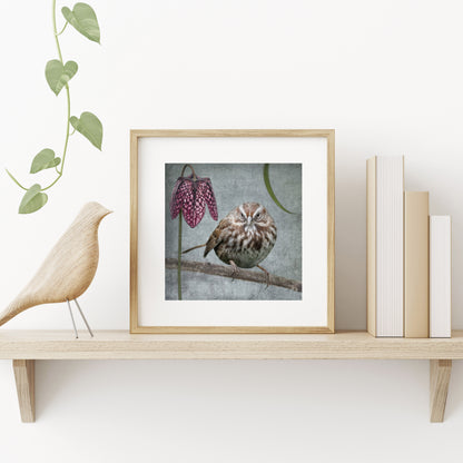SONG SPARROW WITH FRITILLARIA - Fine Art Print, Garden Birds Series