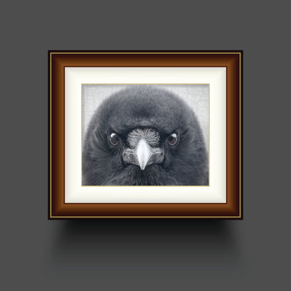 STEADFAST - Fine Art Print, Crow Portrait Series