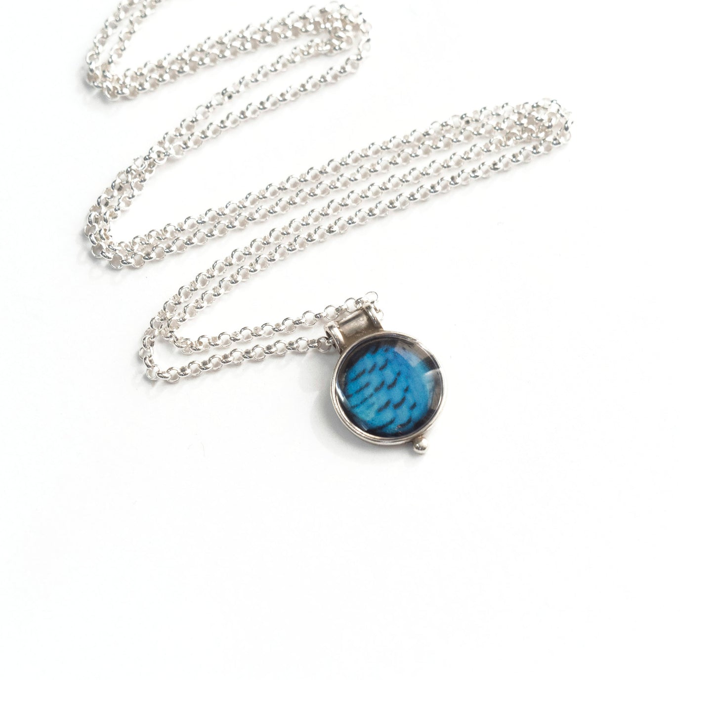 STELLER'S JAY FEATHERS - Miniature Pendant, Silver and Resin
