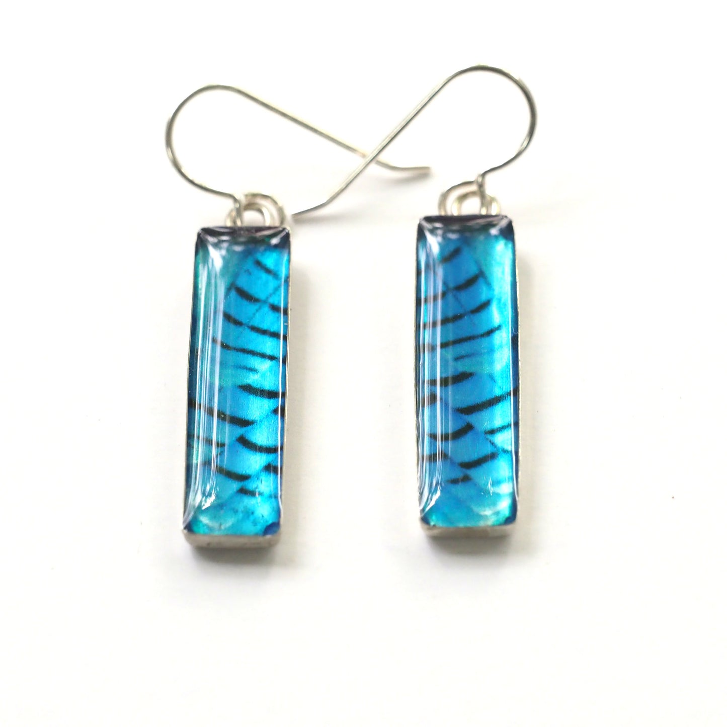 STELLER'S JAY FEATHERS - Rectangular Earrings, Silver and Resin