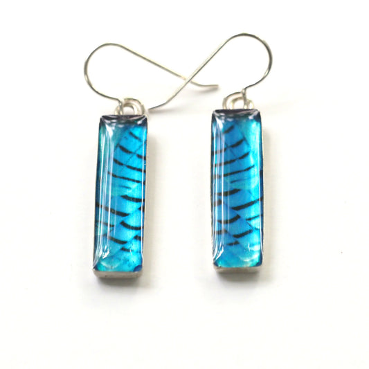 STELLER'S JAY FEATHERS - Rectangular Earrings, Silver and Resin