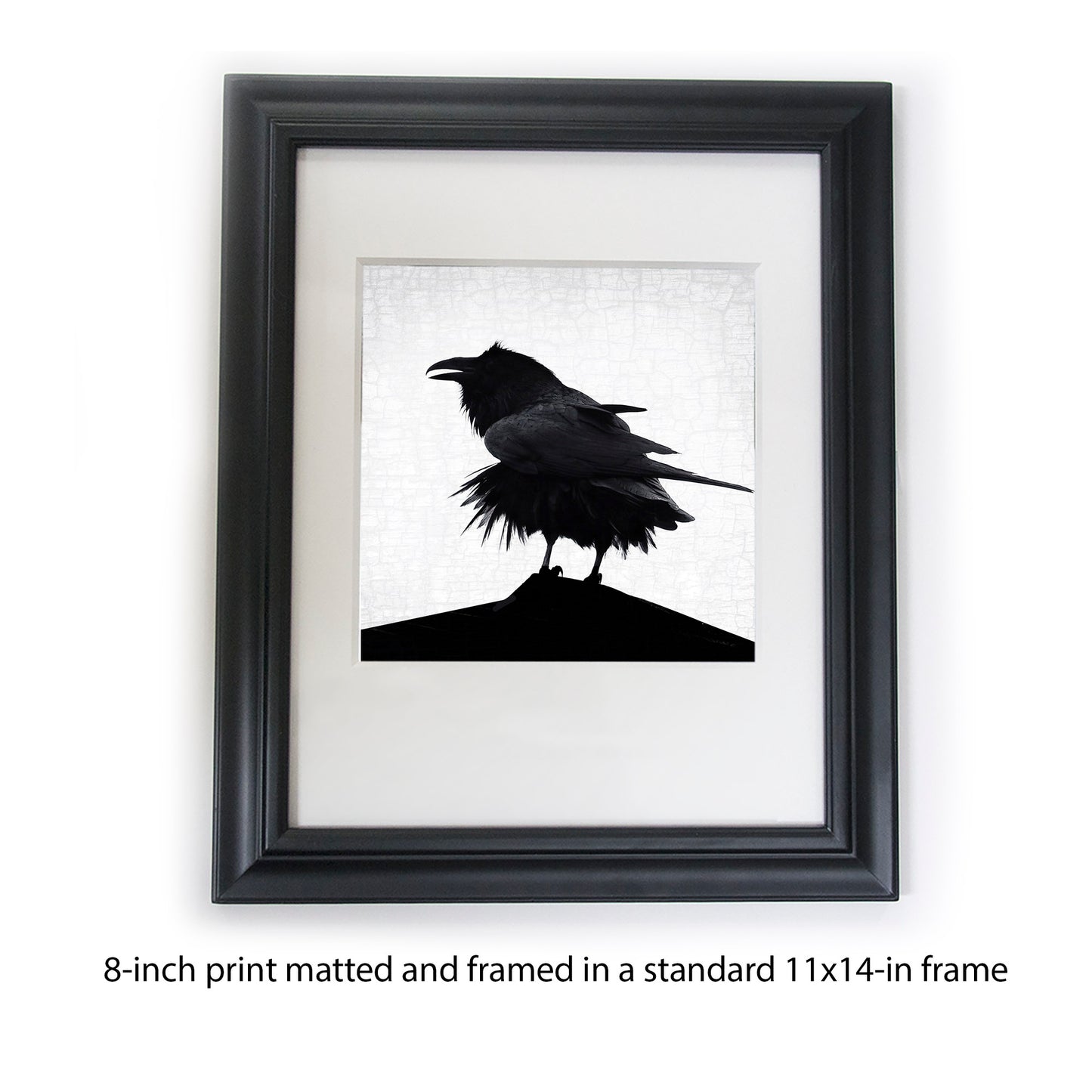 STORM RAVEN - Fine Art Print, Raven Portrait Series