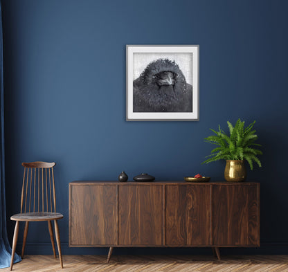 STOIC CROW - Fine Art Print, Crow Portrait Series